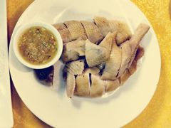 -鸽王世家(东华东路店)
