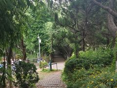 -昆明动物园