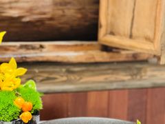 -叶叶菩提(太原别墅店)