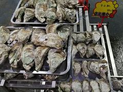 -蚝专家(北滘店)