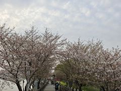 -苏州独墅湖世尊酒店