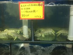 -蚝专家(北滘店)