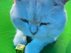 -4k轰趴馆(苏州街店)