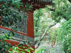 -趵突泉景区