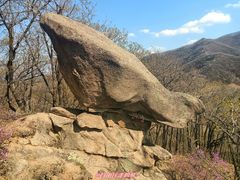 -吉林市朱雀山国家森林公园