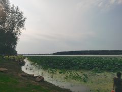 -丁香湖公园