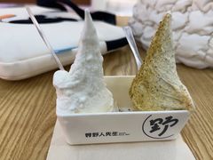 -野人先生Gelato(上海长宁龙之梦店)