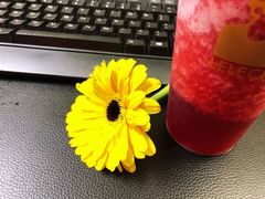 -LELECHA乐乐茶(新街口大洋店)