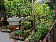 -花鸟鱼虫鲜花绿植市场(玉泉路店)