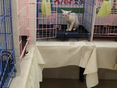 -银泰百货(北京大红门店)