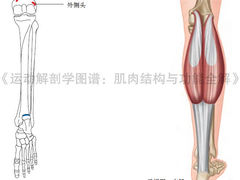 -OneFit健身(汇锦城店)
