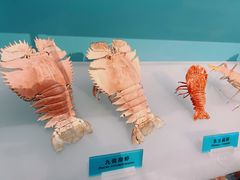 -天津自然博物馆