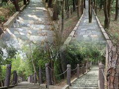 -田心森林公园