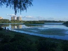 -丁香湖公园
