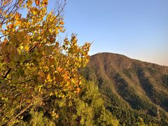 -北京十三陵国家森林公园蟒山景区