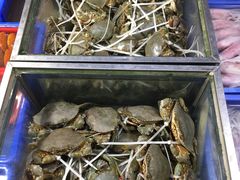 -都斛海鲜街