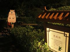 -郑州银基黄帝宫御温泉