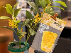 -星巴克(南京汉中环亚广场店)