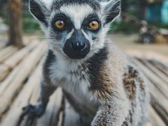 -济南野生动物世界