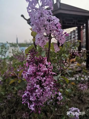 游泳馆，网球场！还有冯骥才教学楼门口有一池子的鱼