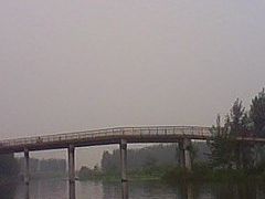 -白洋淀景区