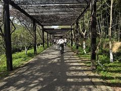 -九龙潭景区