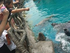 -华夏文旅海洋公园