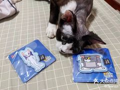-御宝贝·A梦猫科宠物医院(国际猫友好医院)