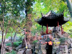 -秋霞圃