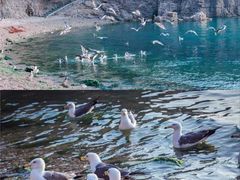 -海驴岛(荣成市)