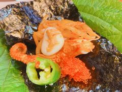 -红辣椒八爪鱼特色韩国料理
