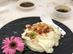 炒牛奶-寻味顺德·南记酒家·传统顺德菜·鱼生(广源路店)