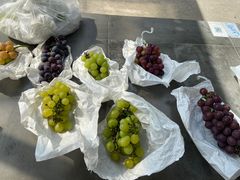 -美家乐农庄·露营·团建(大治路店)