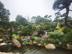 -罗红摄影艺术馆