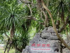 -中国科学院西双版纳热带植物园