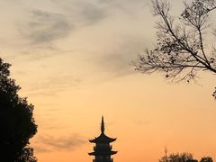 -秋霞圃
