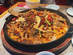 -老板恋上鱼(恒隆广场店)