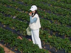 -任达丞国农庄(任达山庄店)