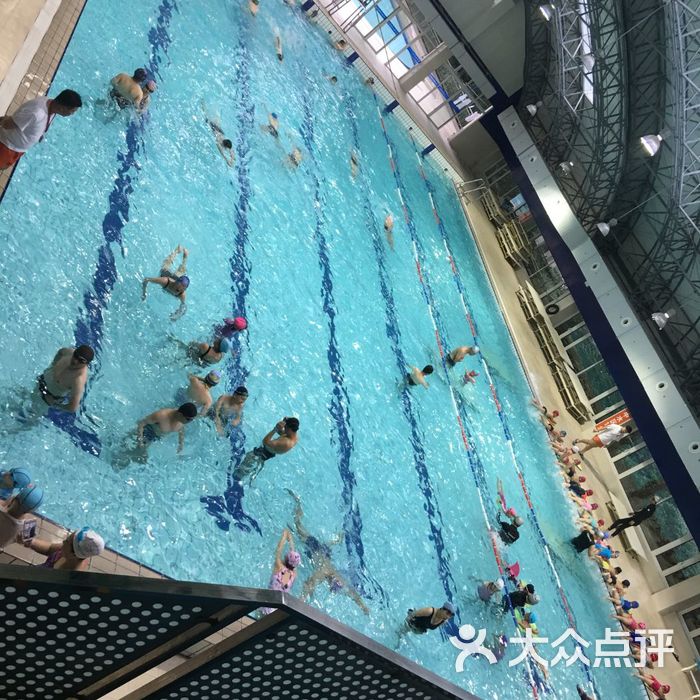 沈坚强游泳俱乐部