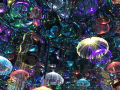 -天津梵高星空艺术馆(天河城旗舰店)