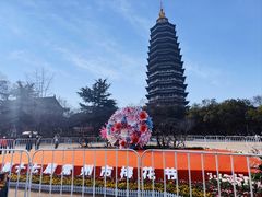 -红梅公园
