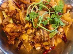 -唐闸邵记鸡煲馆