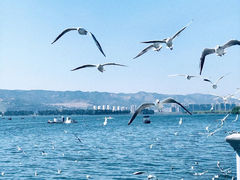 -滇池海埂公园