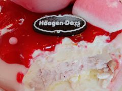 -哈根达斯(绍兴银泰店)