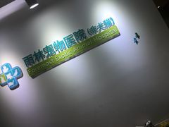 -雨林宠物医院 非犬猫异宠专科