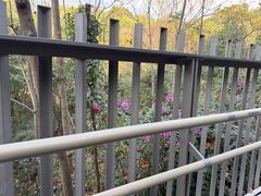 -福道