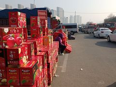 -徐州雨润农副产品全球采购中心