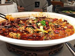 -新概念来凤鱼(璧山店)