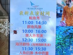 -合肥海洋世界