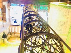 -zoonana室内动物园(东方福来德店)